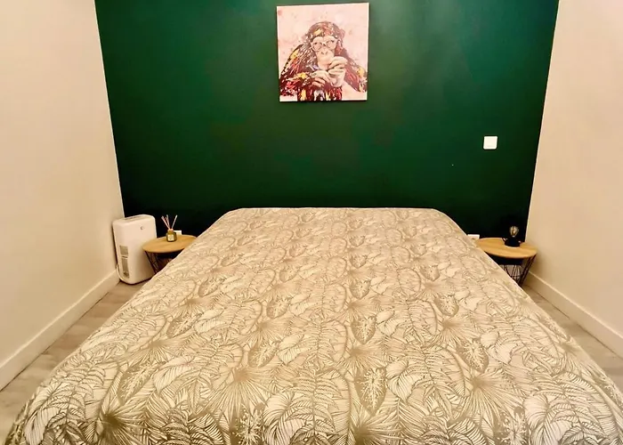 Chez Les Filles Defrance Apartment Royat